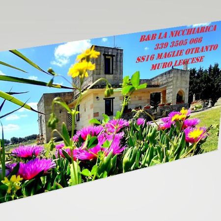 B&B La Nicchiarica Muro Leccese Zewnętrze zdjęcie